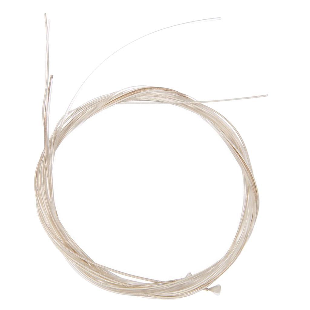 สายกีตาร์คลาสสิก สายไนลอน 6 แพ - Classical Guitar Nylon บทวิจารณ์และราคา