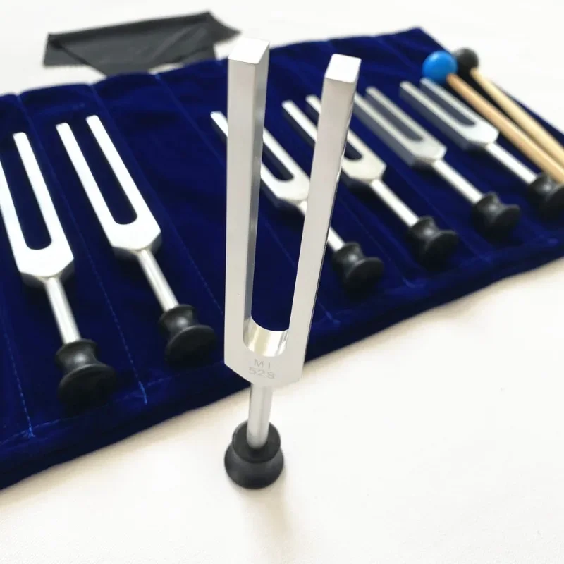 Cameroon ชุดส้อมเสียงทางการแพท - Musical Instrument Synthesizer บทวิจารณ์และราคา